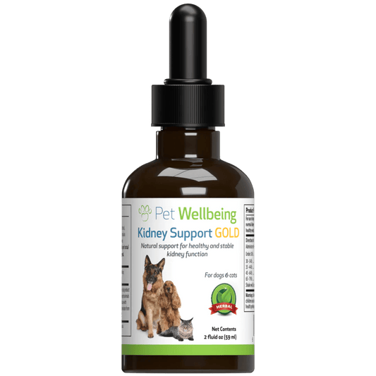 Kidney Support Gold - for Dog Kidney Function - Pet WellBeing