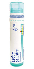 Ledum Palustre 6ch,Boiron Homeopathic Medicine