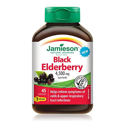 Black Elderberry