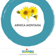 Boiron Arnica Montana 30CH. NEW box with 3 tubes, Homeopathic Medicine