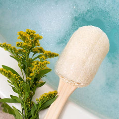 EcoTools Loofah Bath Brush With Bamboo Handle, Body Scrubber Sponge (Pack of 2)