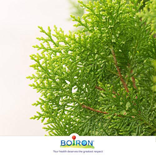 Boiron Thuja occidentalis 30CH, Homeopathic medicine 3 count