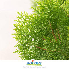 Boiron Thuja occidentalis 30CH, Homeopathic medicine 3 count