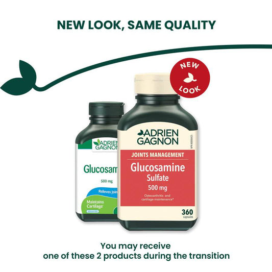 Adrien Gagnon - Glucosamine (Sulfate) for Joint Support, 500 mg, 360 (300+60 Bonus) Capsules