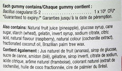 Jamieson Probiotic Gummies 45 Gummies