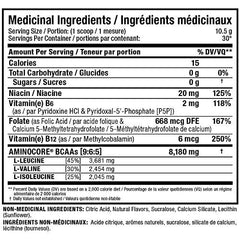 ALLMAX Nutrition Aminocore Bcaa - 8g Bcaas - 100% Pure Branch Chained Amino Acids - Gluten Free 315 gram Sweet Tea